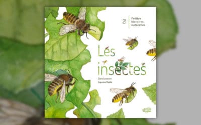 Claire Lecoeuvre, Les insectes : 21 petites histoires naturelles