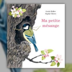 Ma-petite-mesange