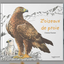 z-oiseaux-de-proie-