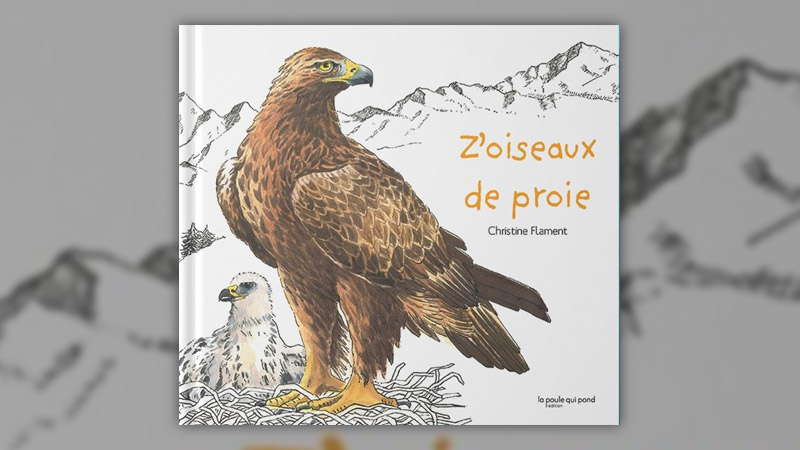 z-oiseaux-de-proie-