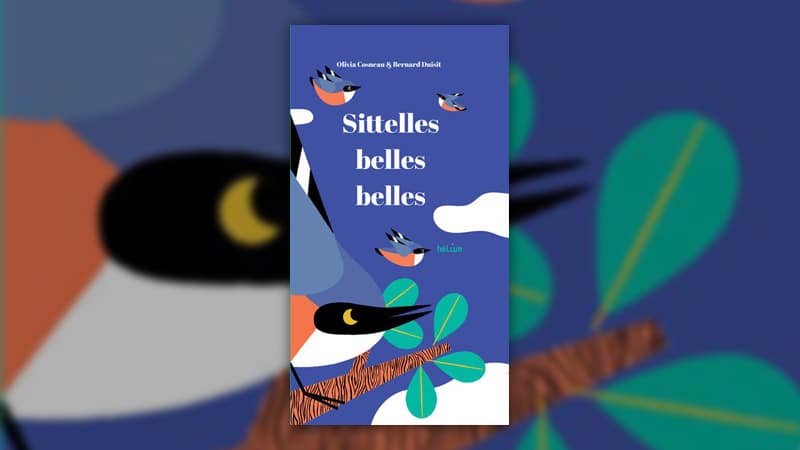 Sittelles-belles-belles-