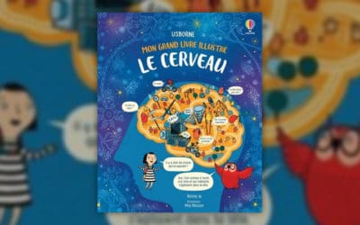 Bettina Ip, Le Cerveau