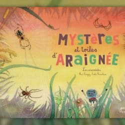 Mysteres-et-toiles-d-araignee