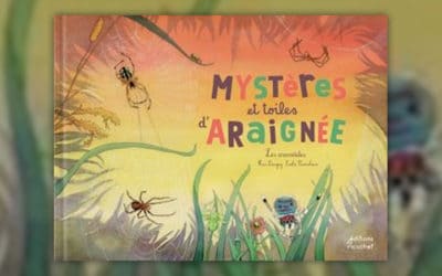 Fleur Daugey, Mystères et toiles d’araignée !