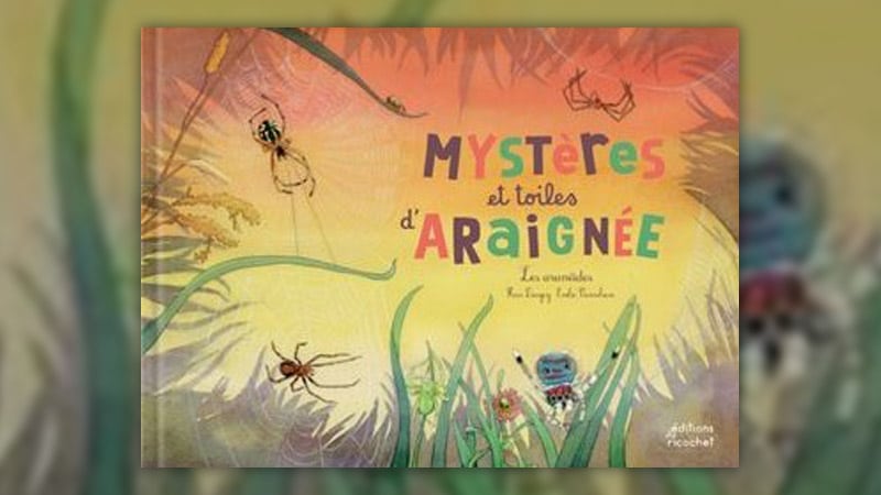 Fleur Daugey, Mystères et toiles d’araignée !