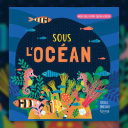 Sous-l-ocean-coll-mon-joli-livre-cache-cache-
