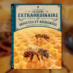 Le-Livre-extraordinaire-des-insectes-et-araignees-