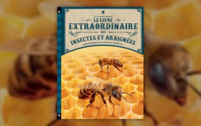 Barbara Taylor, Le Livre extraordinaire des insectes et araignées
