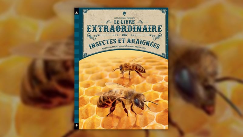 Barbara Taylor, Le Livre extraordinaire des insectes et araignées