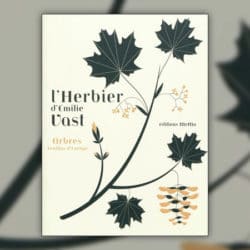 L-herbier-feuillus-europe-