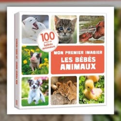 Les-bebes-animaux-