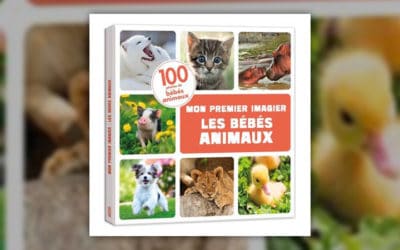 Iréna Aubert, Les bébés animaux