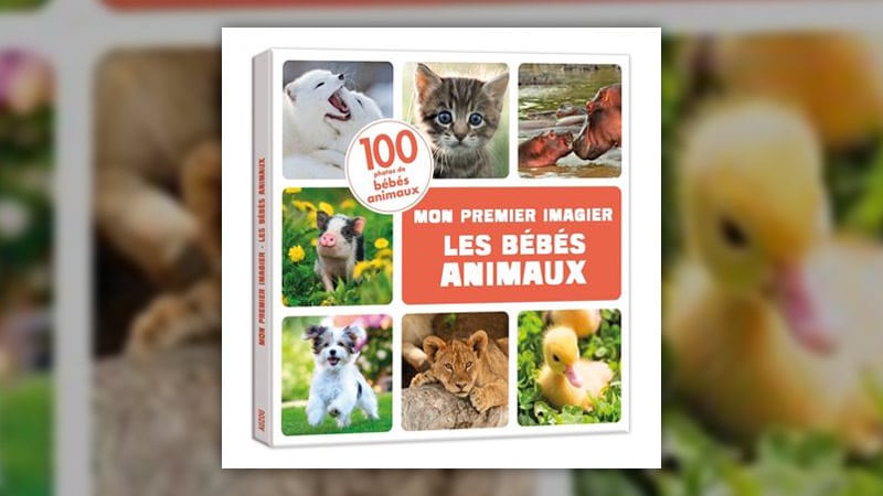 Iréna Aubert, Les bébés animaux