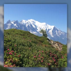 mont-blanc-