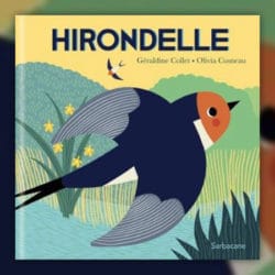 collet-cosneau-Hirondelle