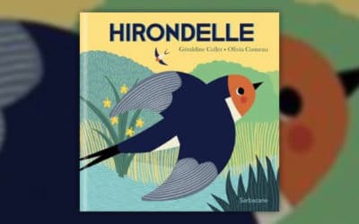 Géraldine Collet, Hirondelle