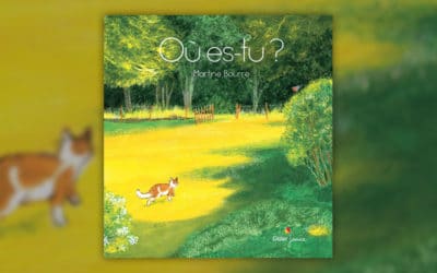 Martine Bourre, Où es-tu ?