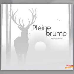 Pleine-brume-