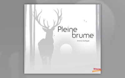 Antoine Guillopé, Pleine Brume