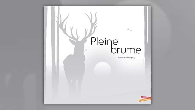 Antoine Guillopé, Pleine Brume