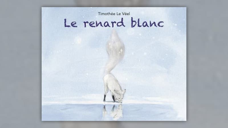 Le-renard-blanc