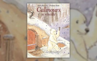 Alain Broutin, Calinours se réveille