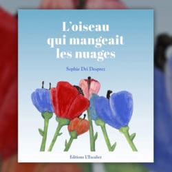 oiseau nuages