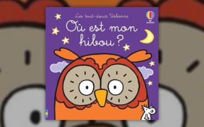 Fiona Watt, Où est mon hibou ?