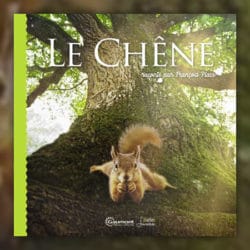 Le-Chene--Francois-Place