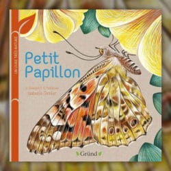 Petit-papillon