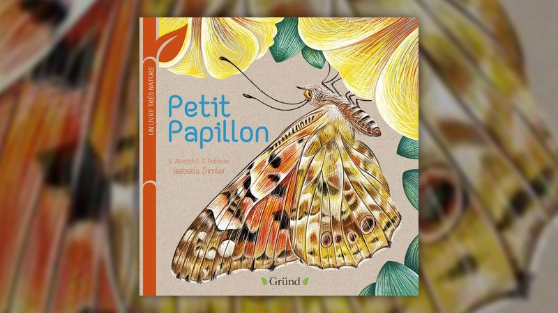 Petit-papillon