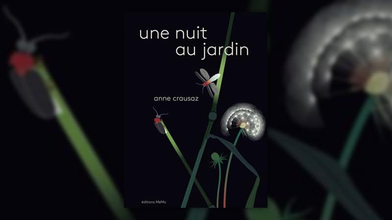 Anne Crausaz, Une nuit au jardin