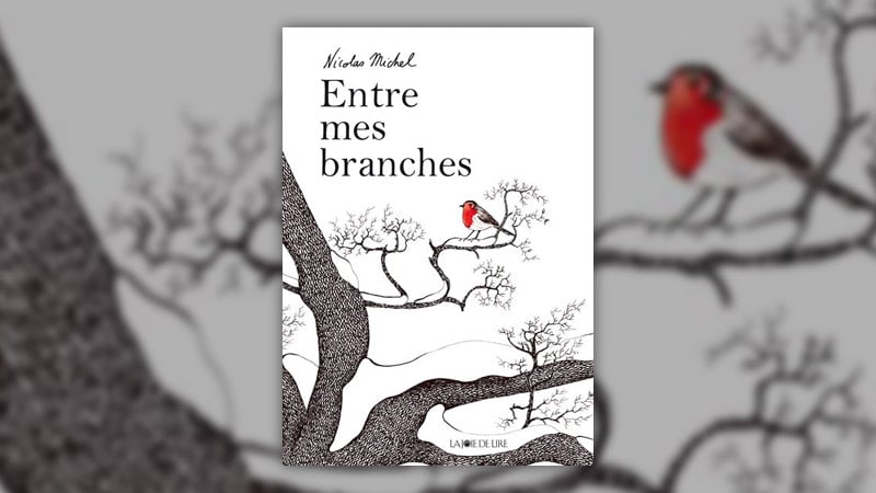 Nicolas Michel, Entre mes branches