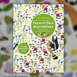 Faune-et-flore-du-printemps-