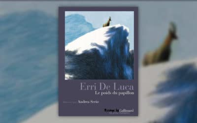 Erri De Luca, Le poids du papillon