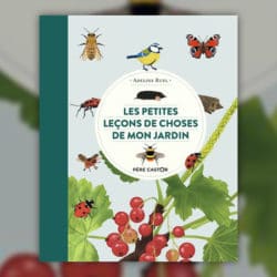 Les-petites-lecons-de-choses-de-mon-jardin-