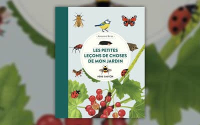 Adeline Ruel, Les petites leçons de choses de mon jardin