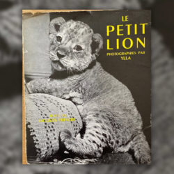 prévert-petit-lion-