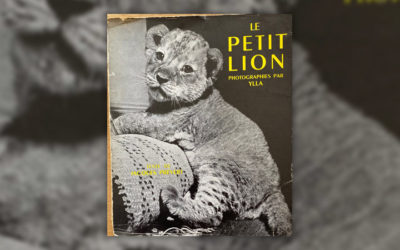 Jacques Prévert, Le petit lion