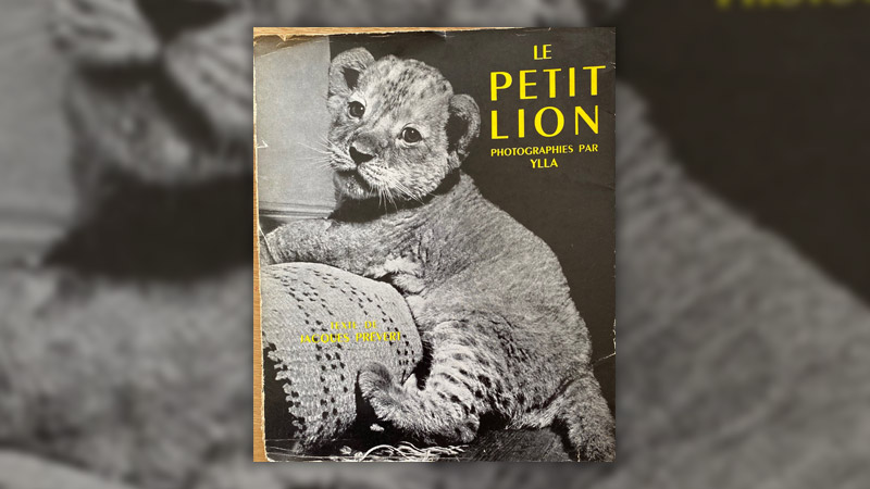 Jacques Prévert, Le petit lion