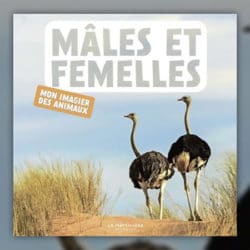 Males-et-femelles-