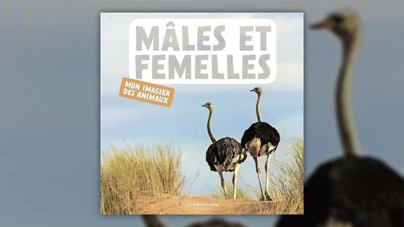 Males-et-femelles-