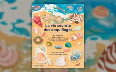 Helen Scales, La vie secrète des coquillages