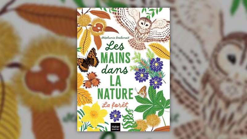 Les-mains-dans-la-nature-La-foret-