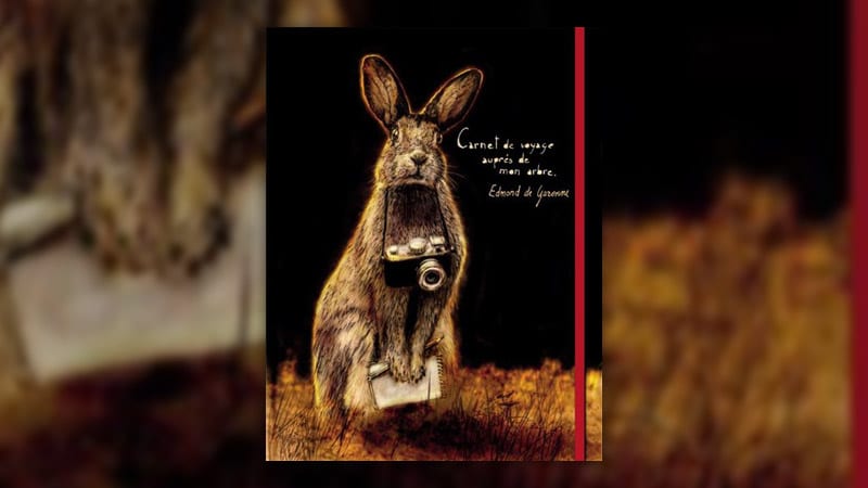 Thierry Dedieu, Voyage auprès de mon arbre – Le cahier naturaliste d’un lapin