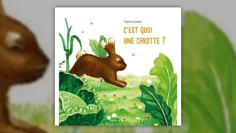 c'est-quoi-une-carotte-