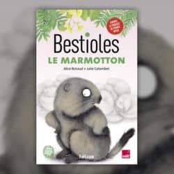 Bestioles-Le-Marmotton-
