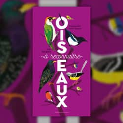 Oiseaux-a-reconnaitre-