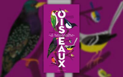 Emmanuelle Kecir-Lepetit, Oiseaux à reconnaître
