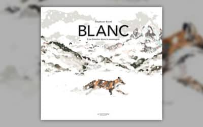 Stéphane Kiehl, Blanc, une histoire dans la montagne